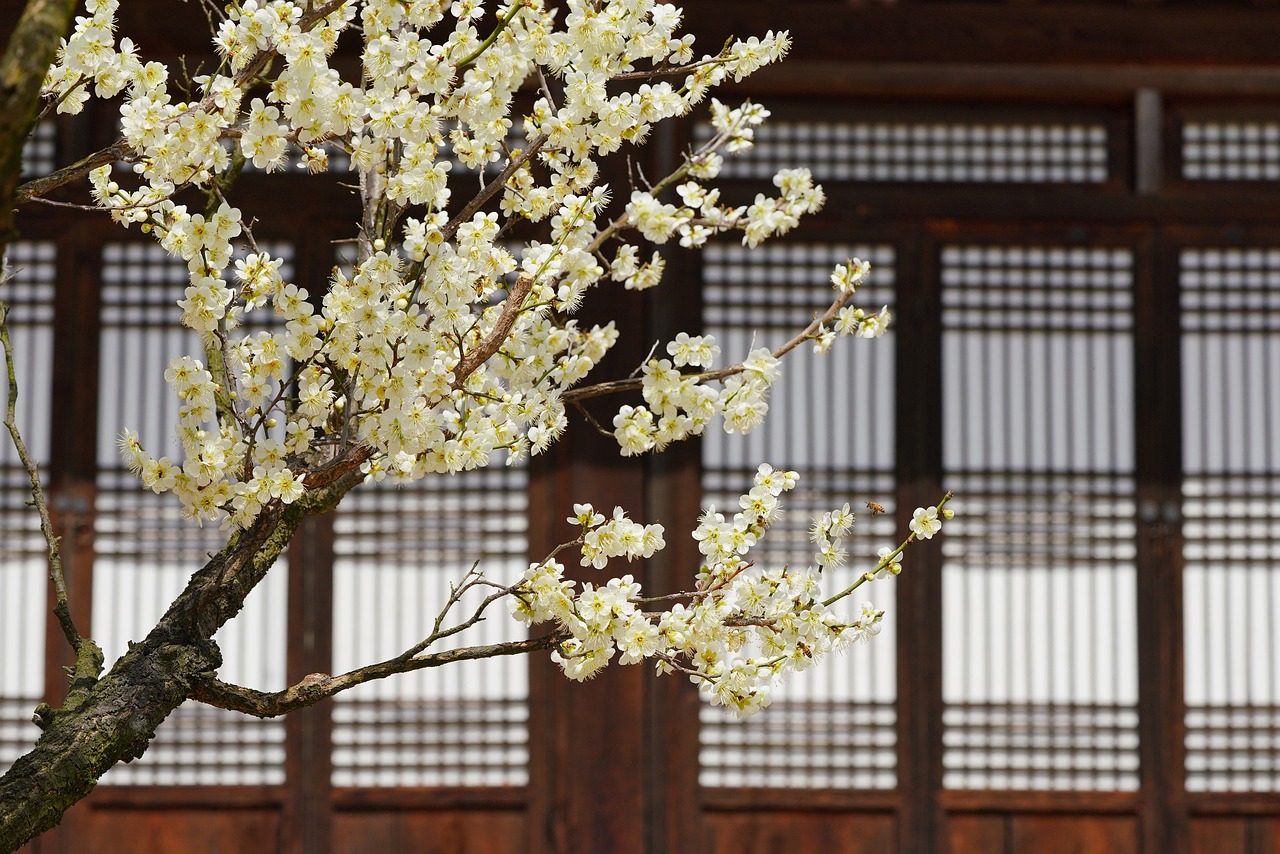 추석 한우 선물세트 추천 2025-품격 있는 명절 선물