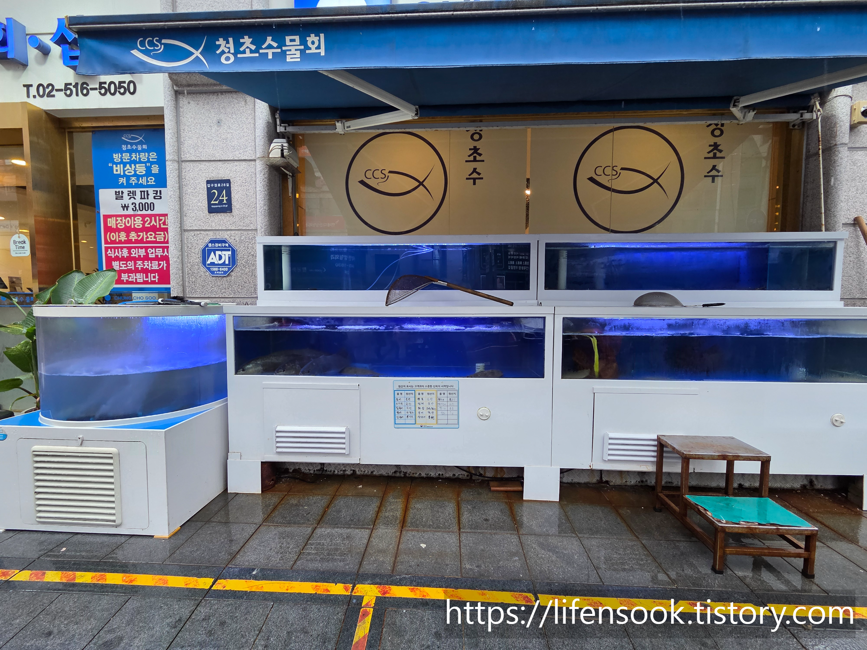 청초수물회 강남점 수족관