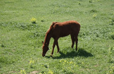 제주도 가볼만한곳 10곳