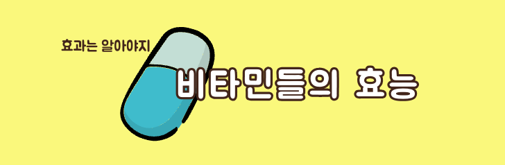 비타민의 효능
