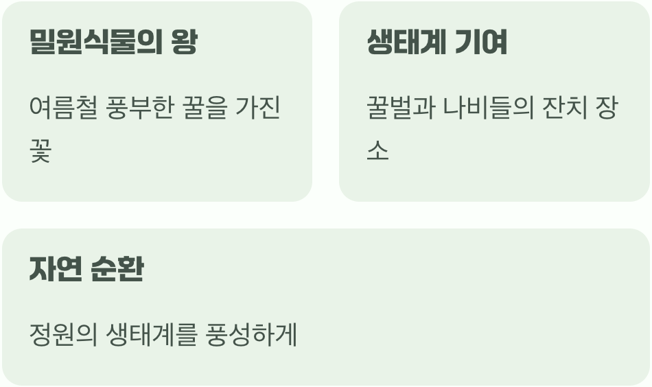 꿀벌들의 파라다이스&amp;#44; 밀원식물의 왕