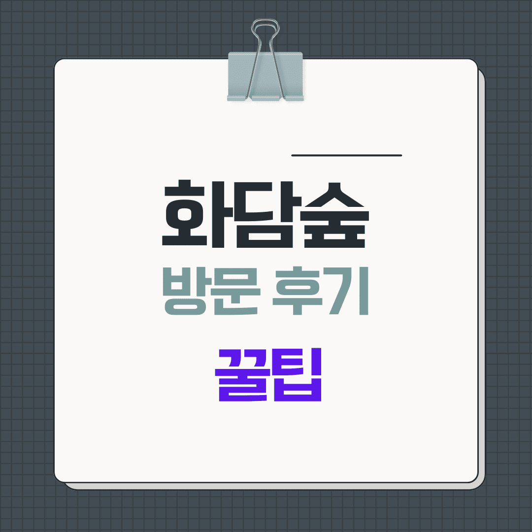 화담숲 방문 후기 2025: 계절별 풍경과 꼭 알아야 할 팁