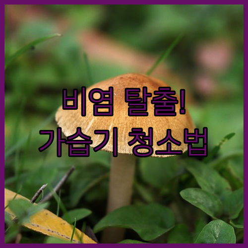 알레르기 비염 환자를 위한 가습기 청..