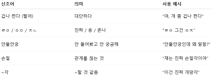 대표적인 신조어 예시