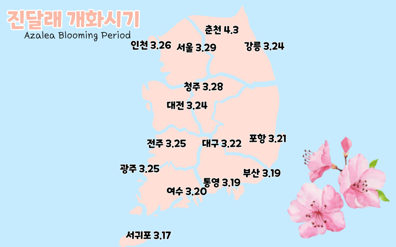 봄꽃 개화12