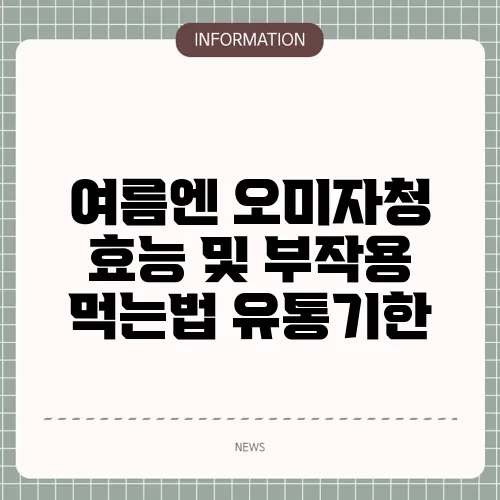 여름엔 오미자청 효능 및 부작용 먹는법 유통기한