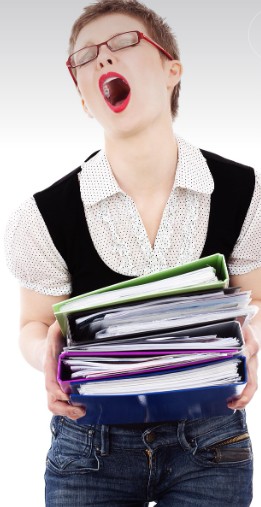 취업 시장 부동산 변호사 관련 사진