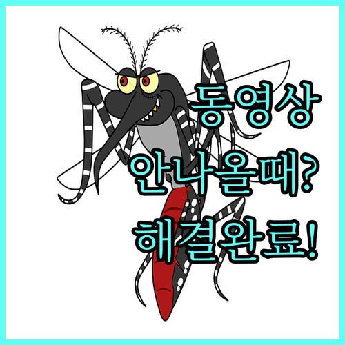 축산물위생교육 동영상 재생 문제 원인..