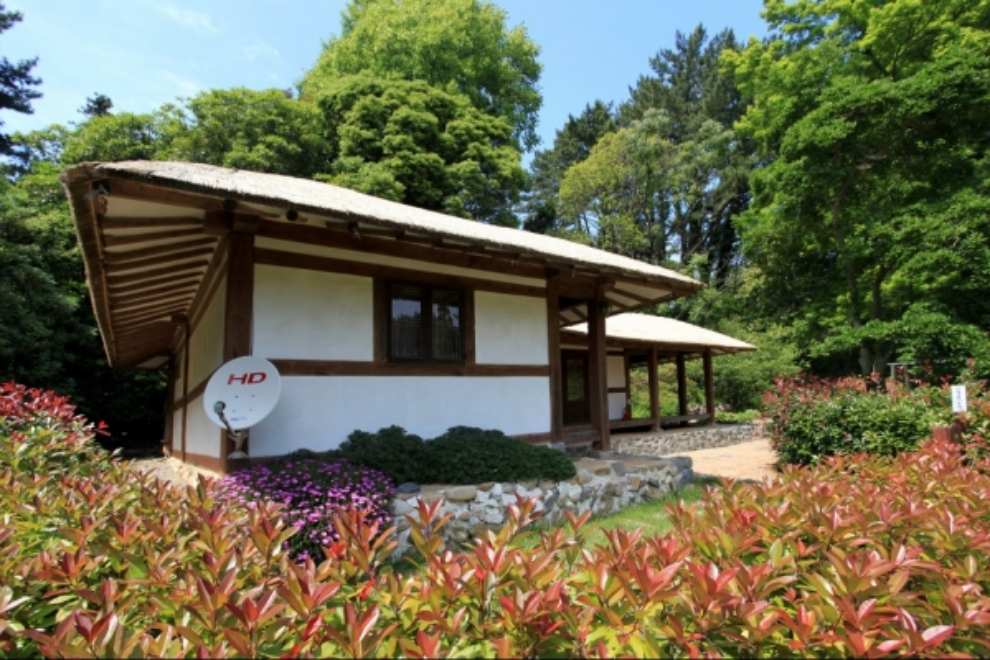 천리포수목원 목련축제