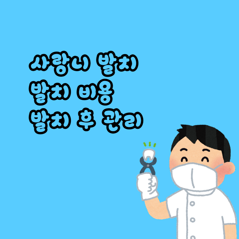 사랑니 발치에 관한 모든 것