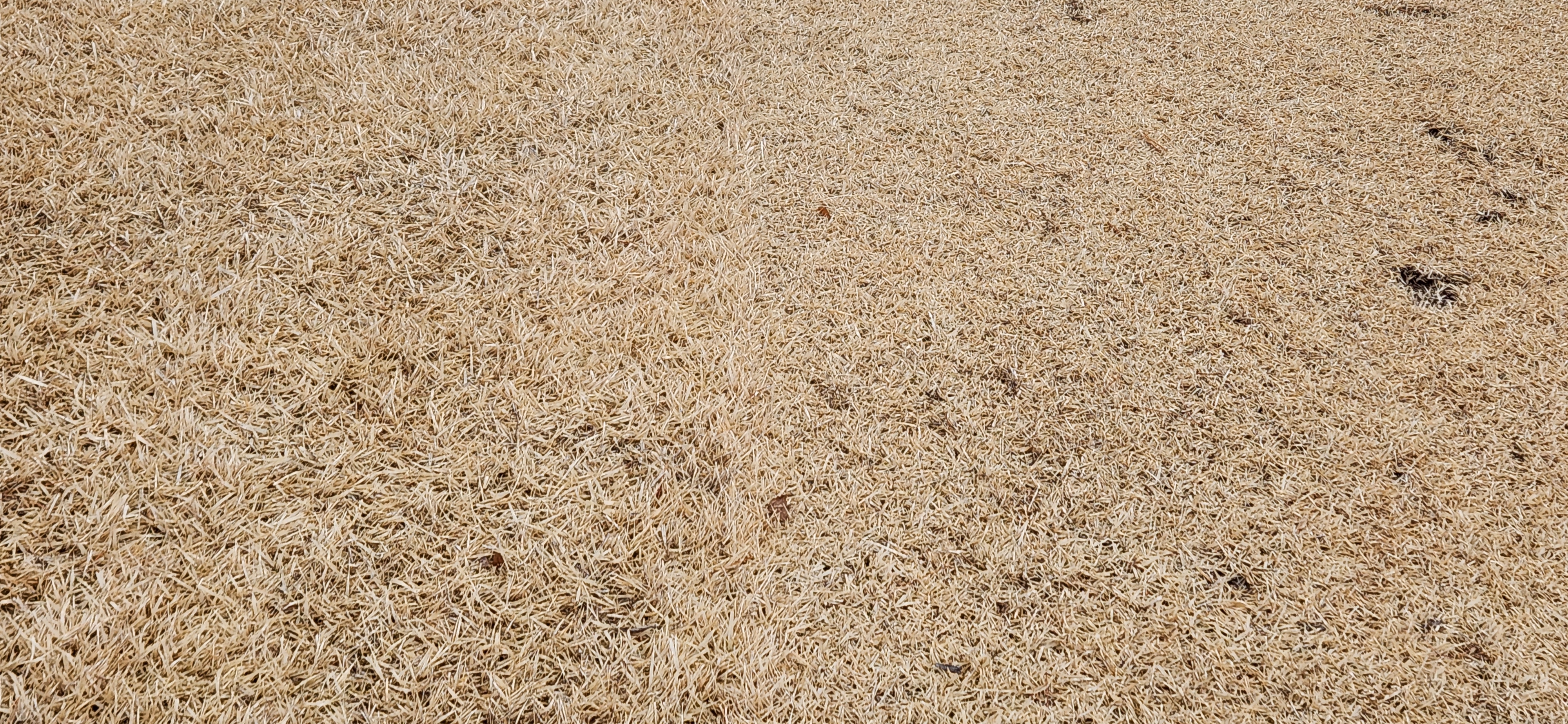 임페리얼레이크cc