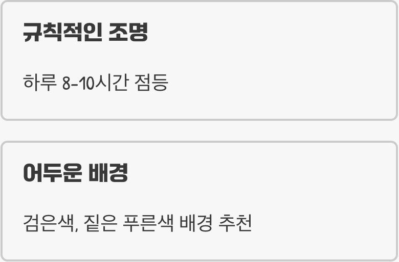 색감을 깨우는 스위치, 조명의 역할