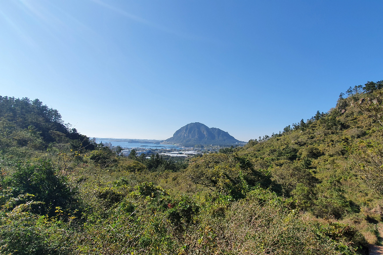 제주 올레9코스