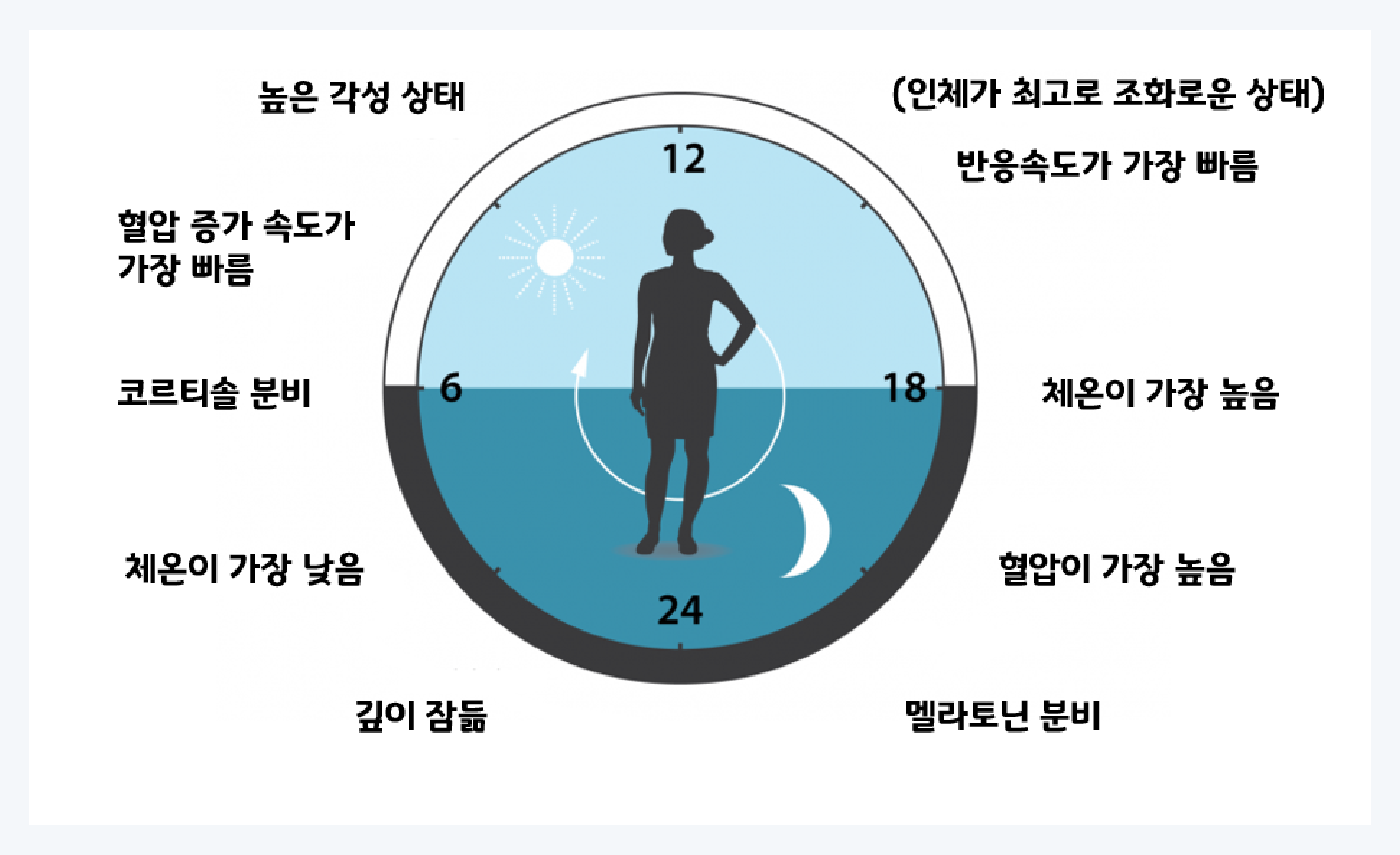 생체시계, 시차증후군