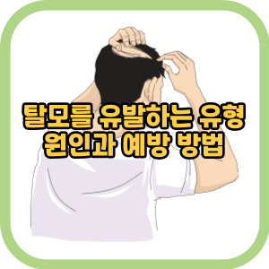탈모를 유발하는 유형 원인과 예방 방법