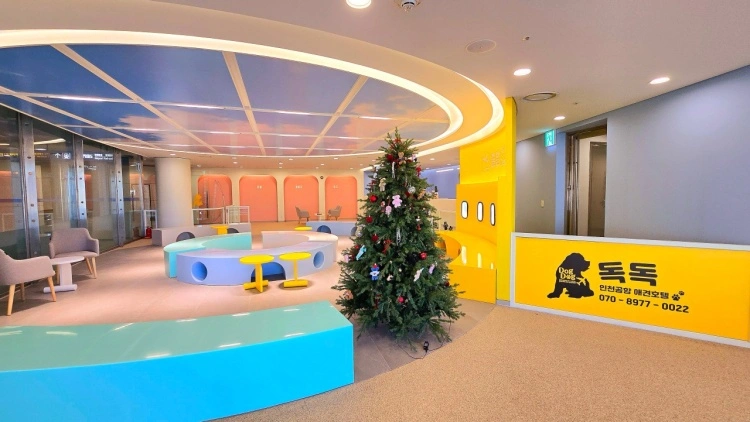 인천공항 펫 라운지 독독 애견 호텔링 소개 위치 이용 예약 방법 위탁 서비스