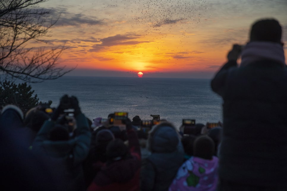 삼사해상공원 해맞이공원