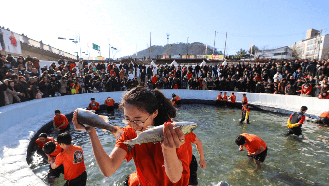 화천 산천어축제 예약 임시주차장 얼음낚시 예약 얼음조각광장 체험