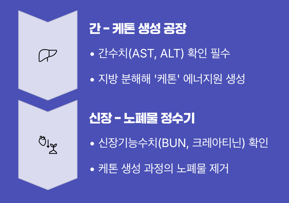 가장 먼저 확인해야 할 &amp;#39;간과 신장&amp;#39;