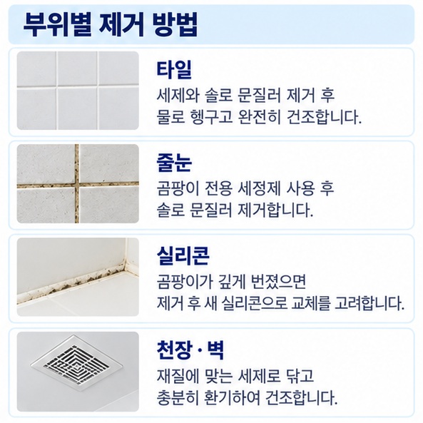 타일 줄눈 실리콘 천장별 곰팡이 제거 방법과 주의점을 비교한 이미지