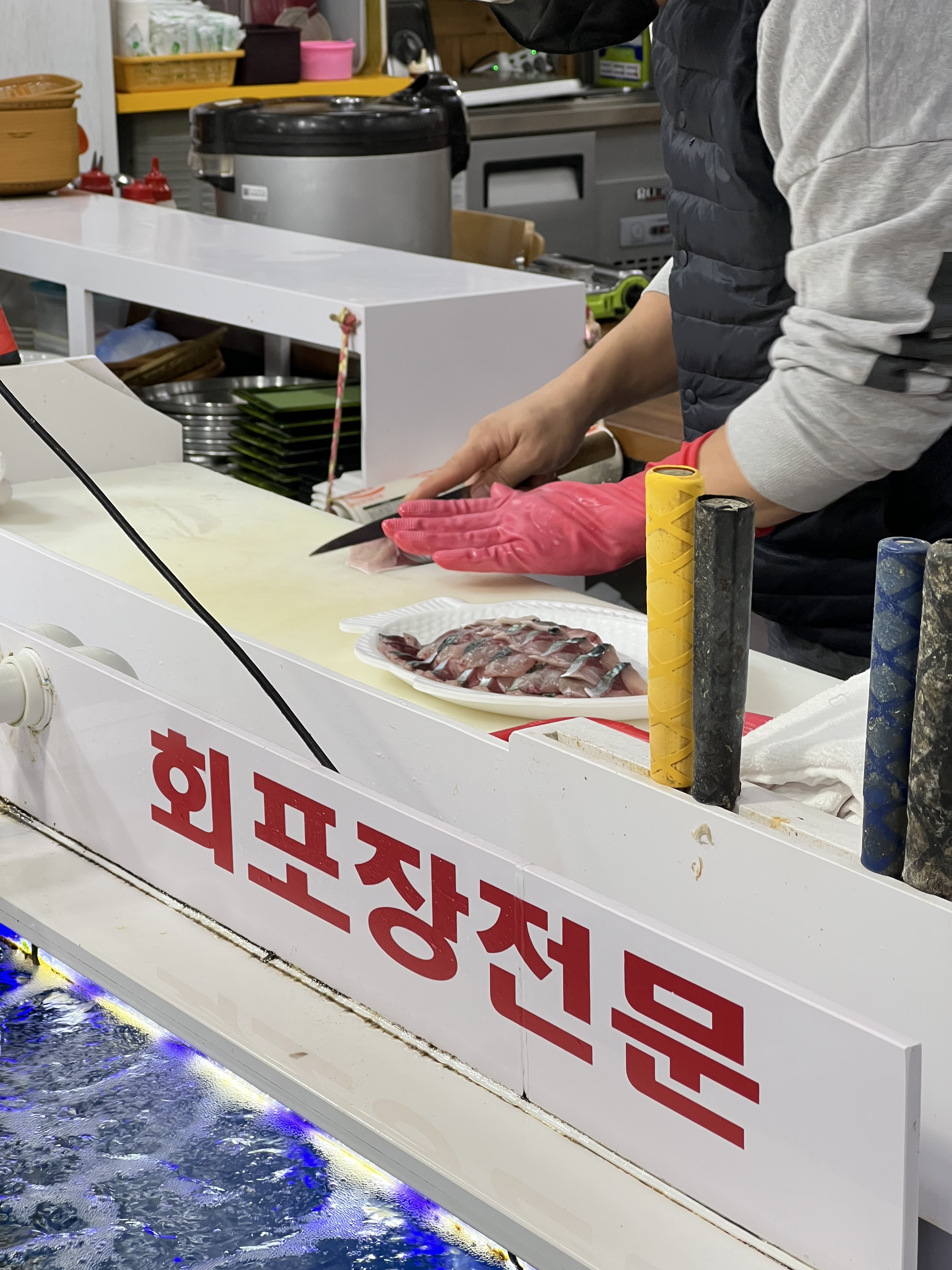 속초 고등어회