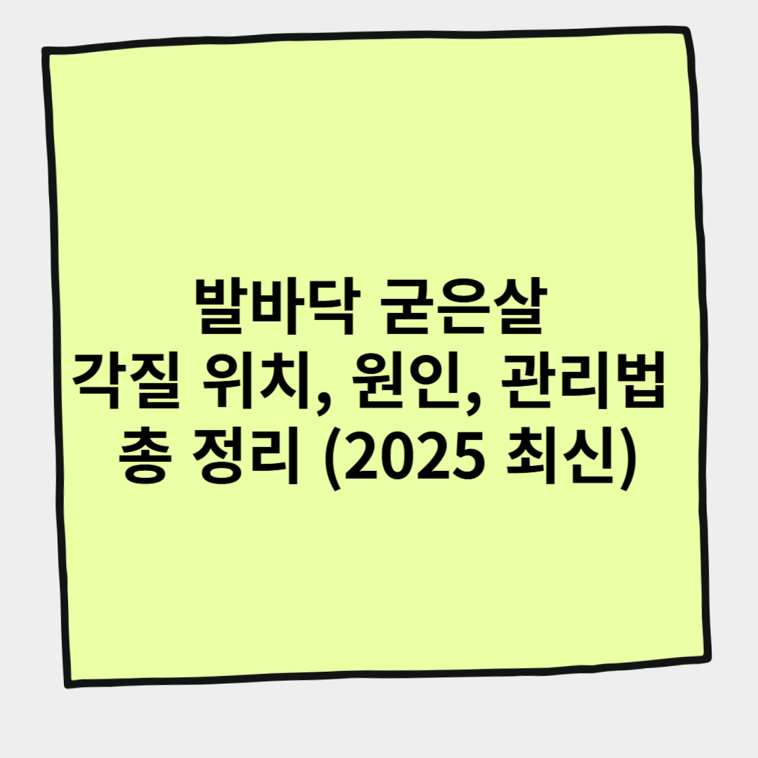 발바닥 굳은살 각질 위치, 원인, 관리법 총 정리 (2025 최신)