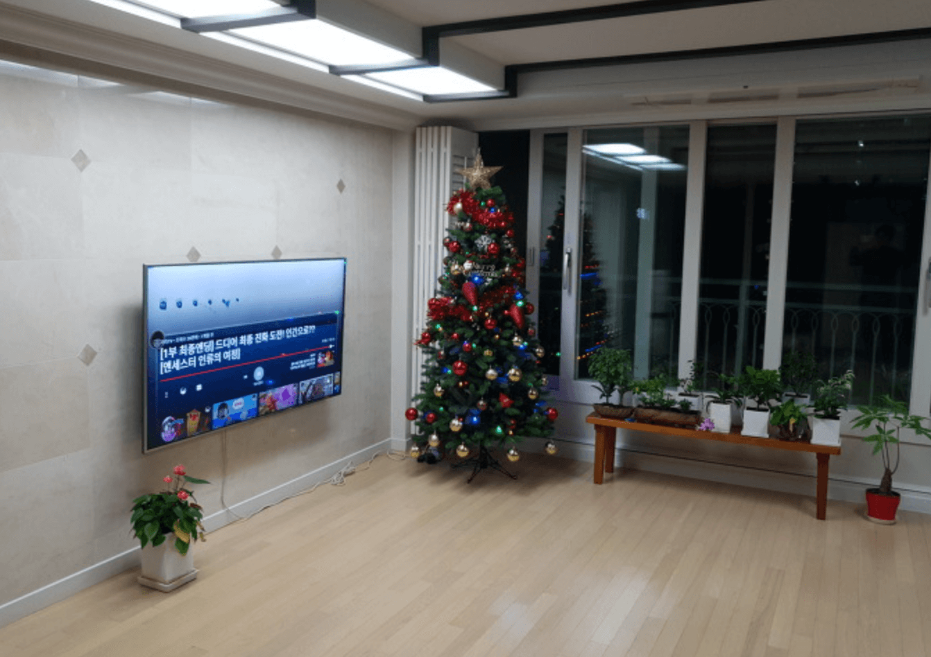 크리스마스-코스트코-트리