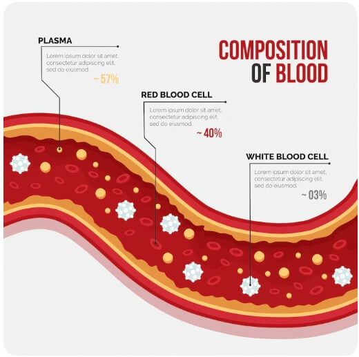 혈관 속 콜레스테롤 수치를 보여주는 모습