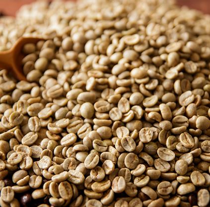 빽다방 아메리카노 500원! 2025 초특가 커피 이벤트