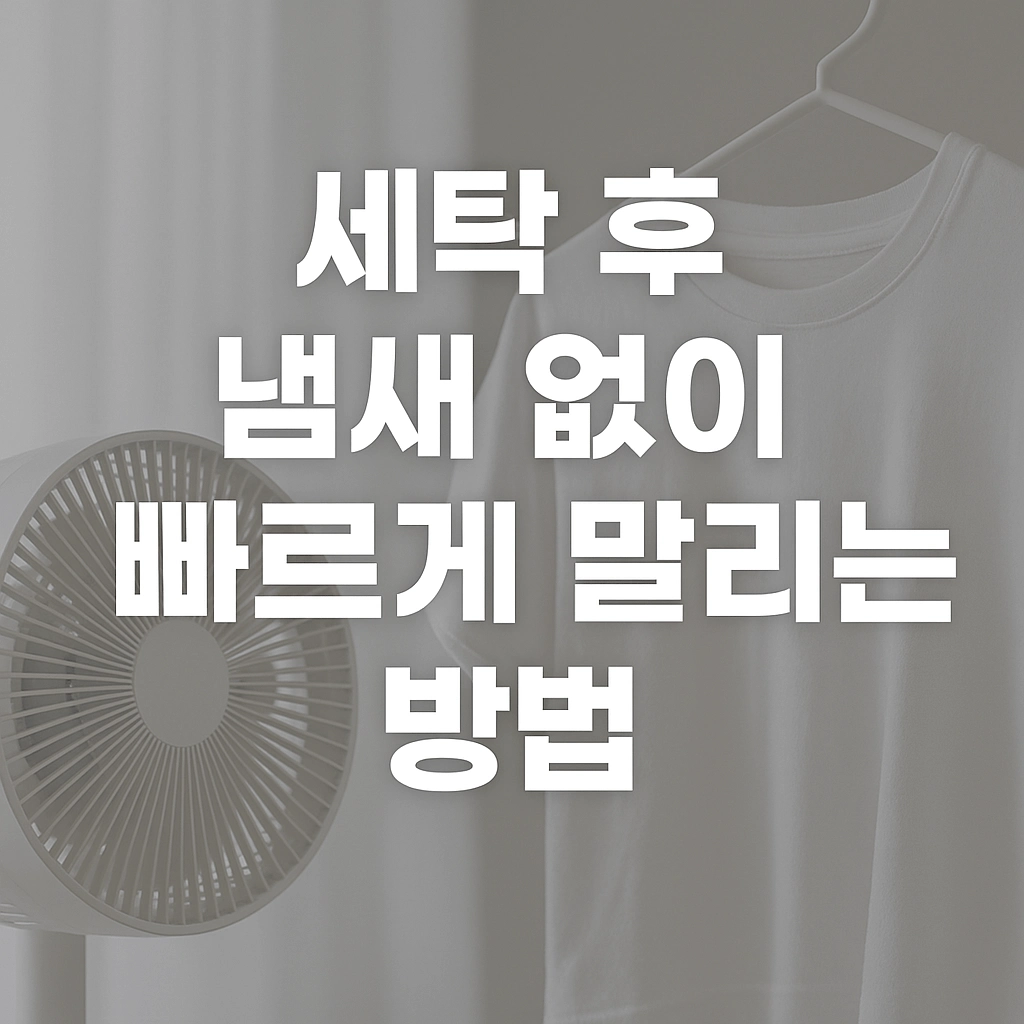 세탁 후 냄새 없이 빠르게 말리는 방법