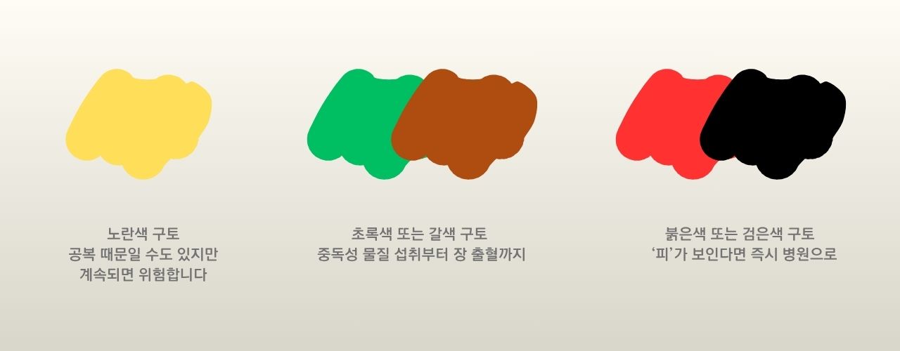 강아지 구토 색깔 꼭 확인하세요. 노란색, 초록색, 붉은색 관련 이미지