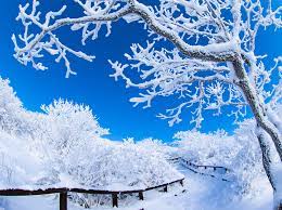  겨울 해외 여행 추천 최저가 항공사 및 특가 페이지 가기