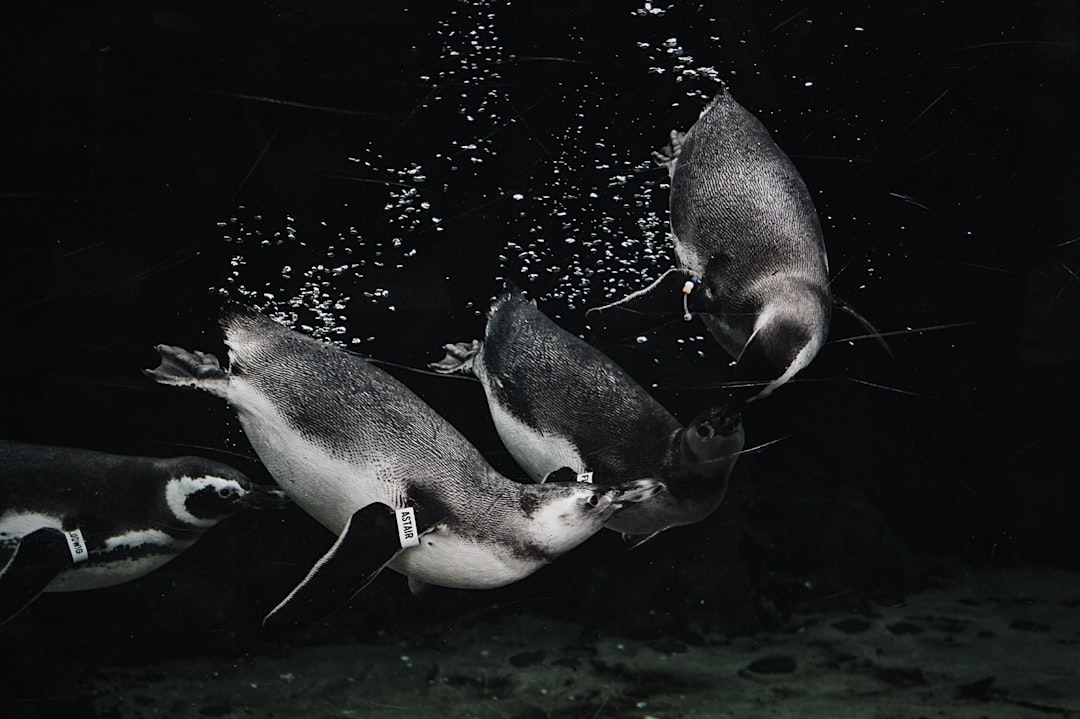 Synchronization