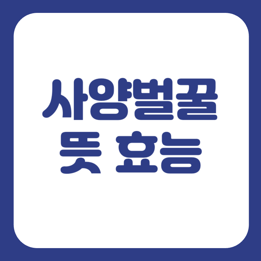 사양벌꿀 효능