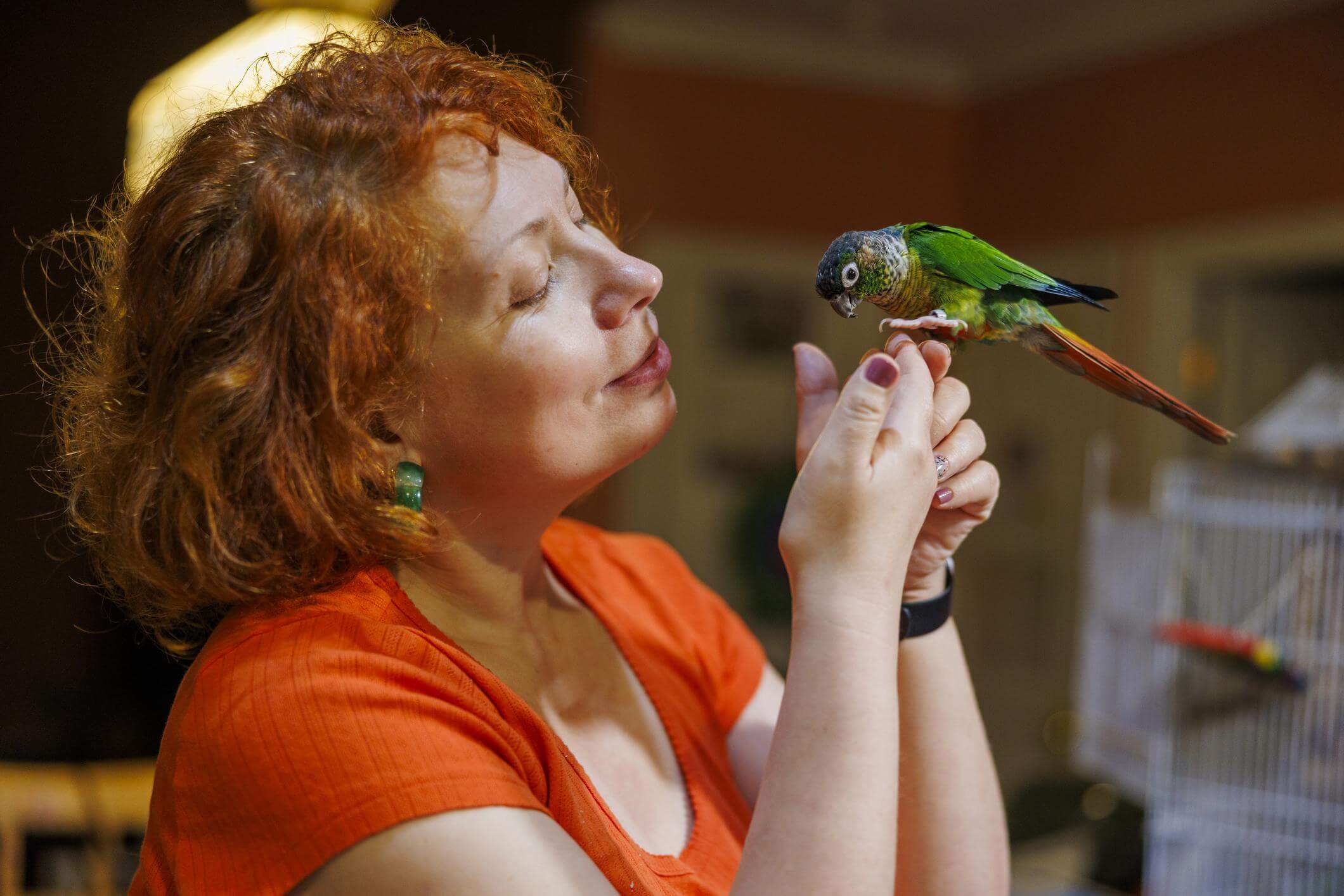 초보자를 위한 앵무새 종류 및 고려해야 할 요소, 특징, 선택