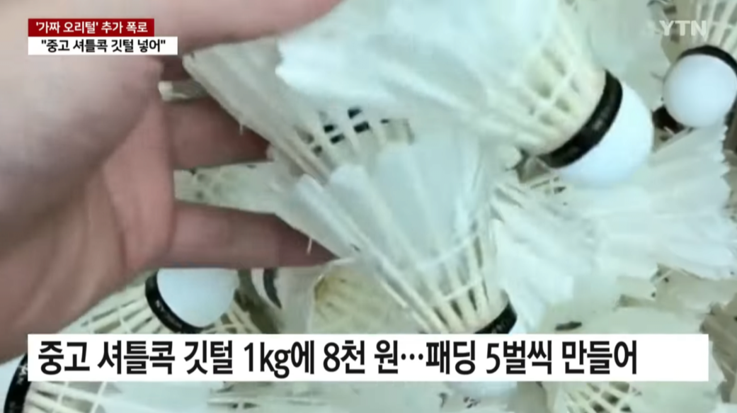 패딩 구매 주의사항