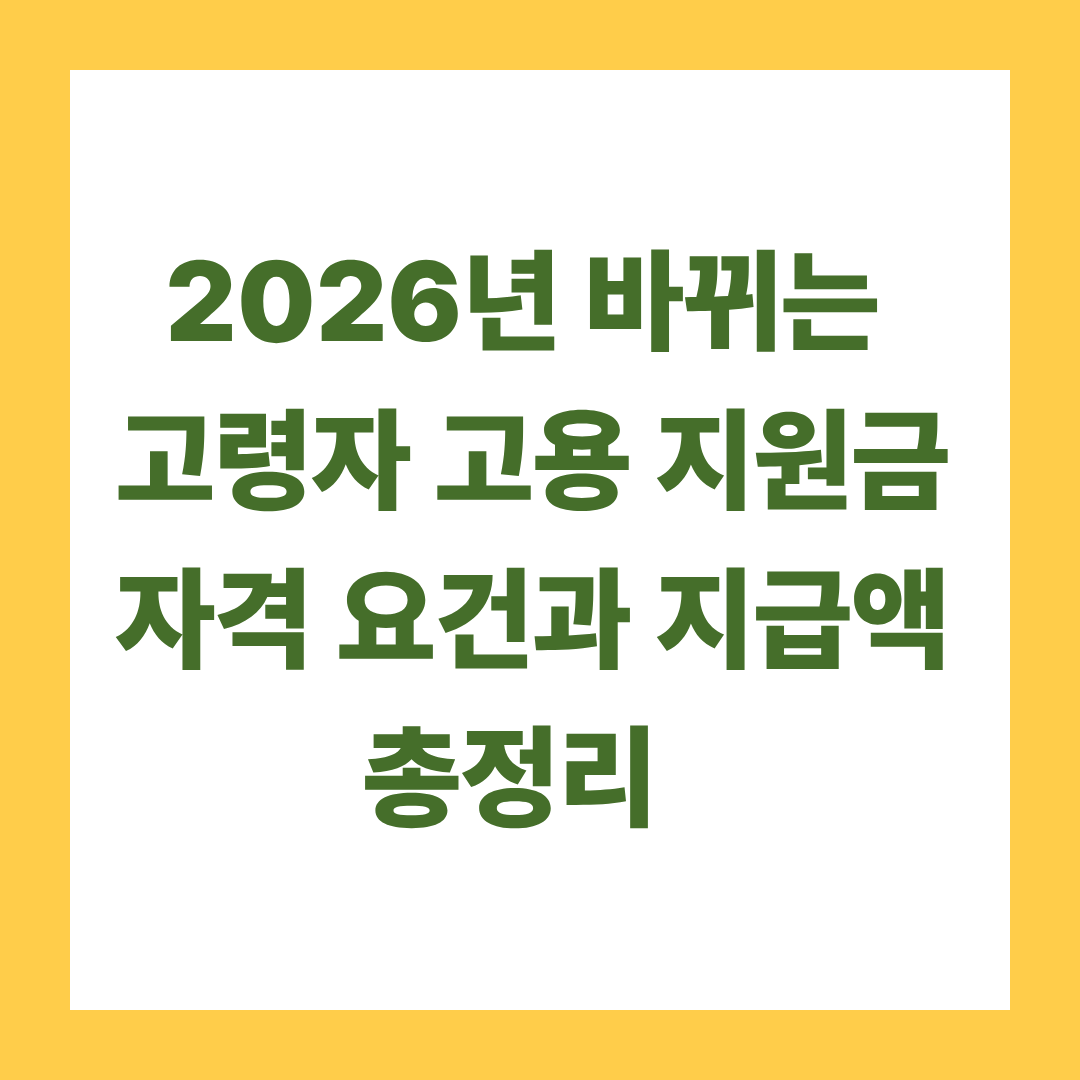 2026년 바뀌는 고령자 고용 지원금 자격 요건과 지급액 총정리