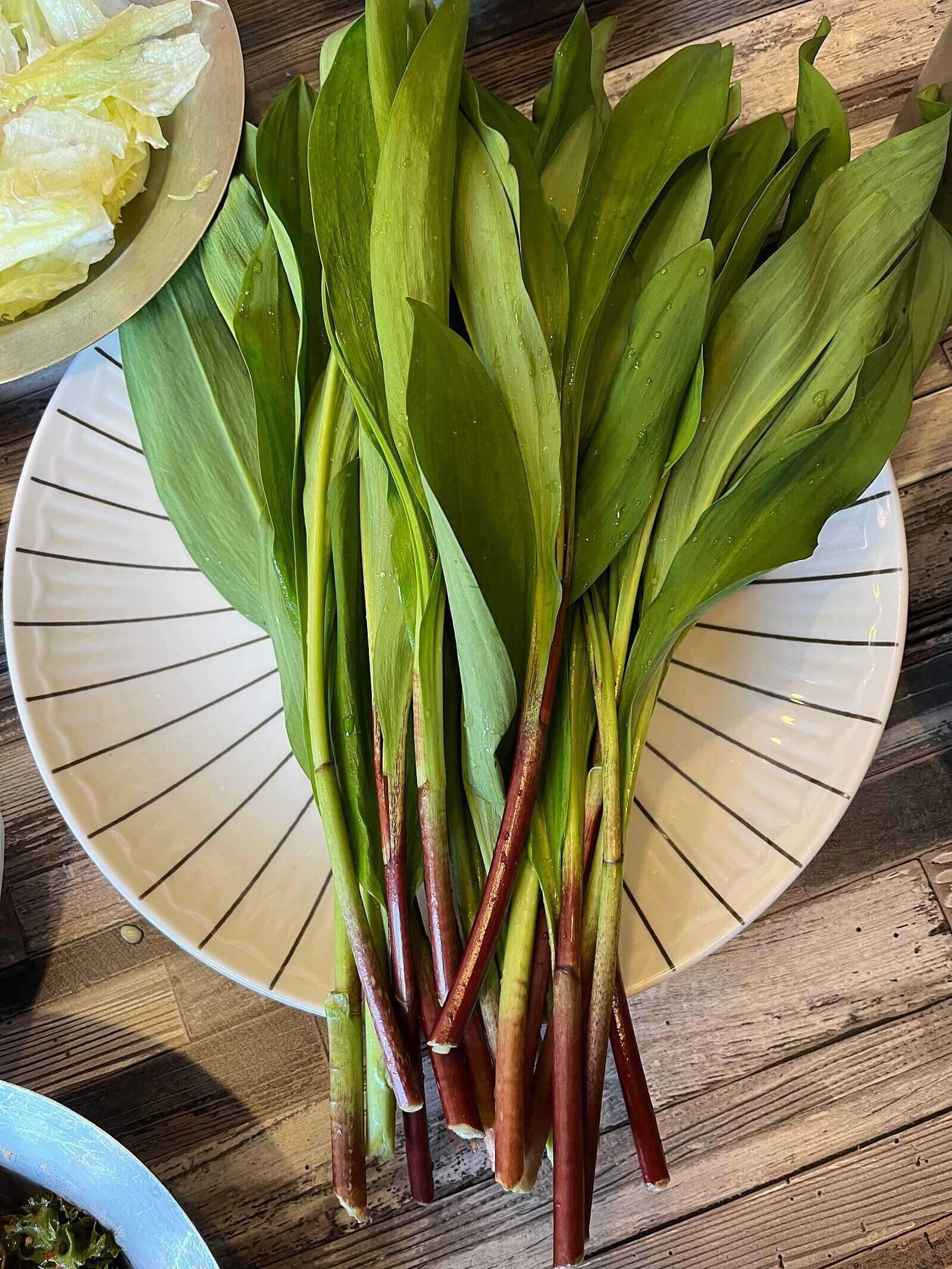 생생정보 수확의 달인 강원도 홍천 오대산 봄철 대표 봄나물 산마늘 주문방법 미쁨농장 산마늘 구매방법