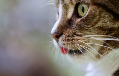 가격대별 추천 제품 관련 사진