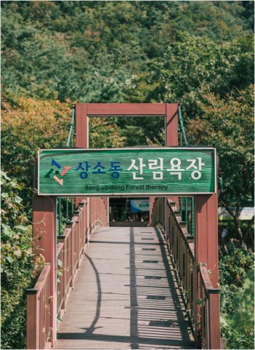 대전 가볼만한 곳