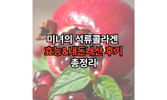 미녀의-석류콜라겐-효능-내돈내산-후기