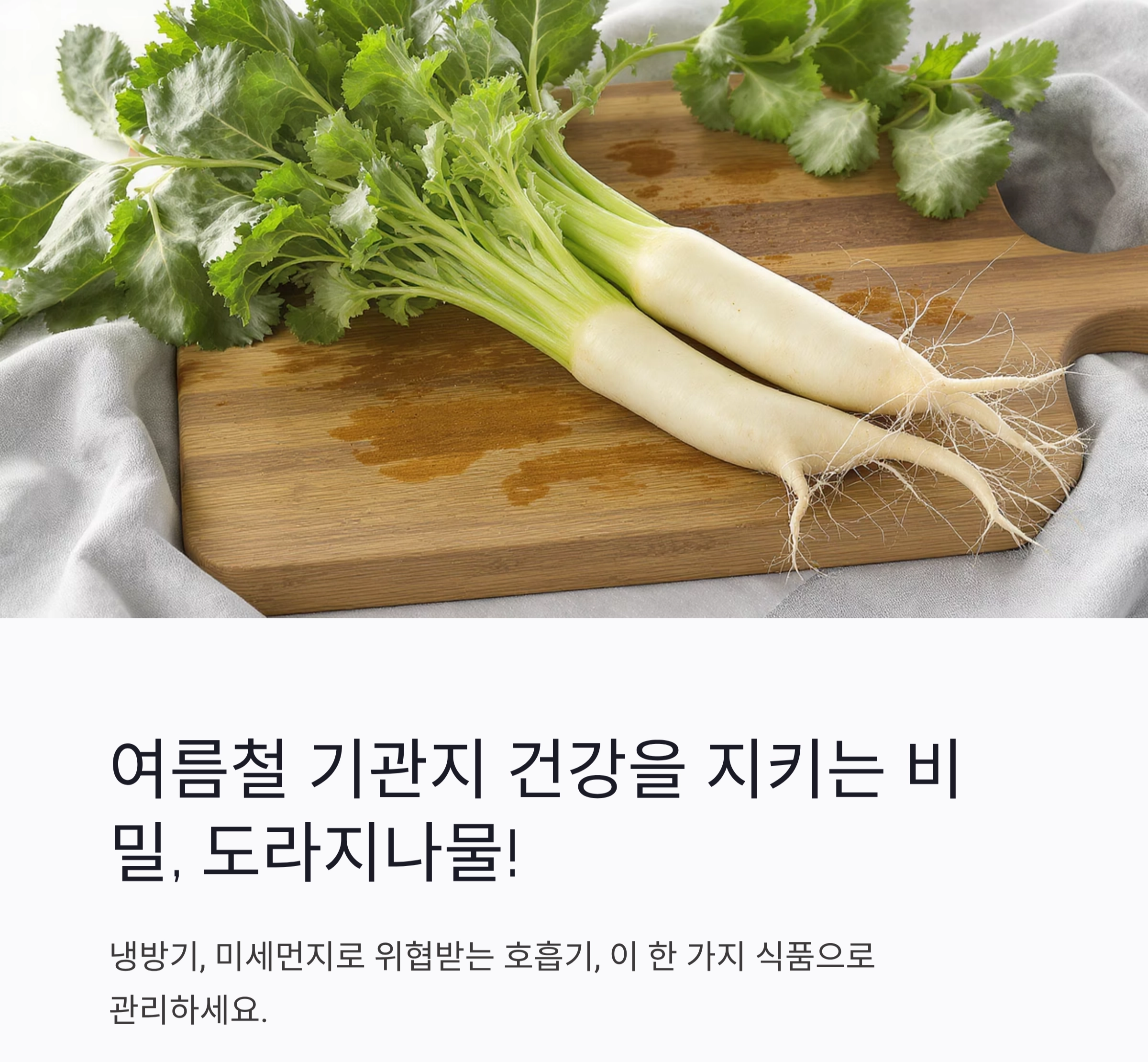 여름철 기관지 건강 지키는 도라지나물 한 접시의 힘