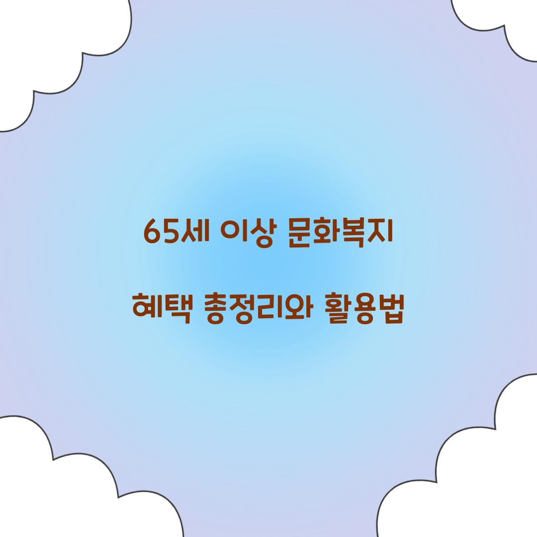 65세 이상 문화복지