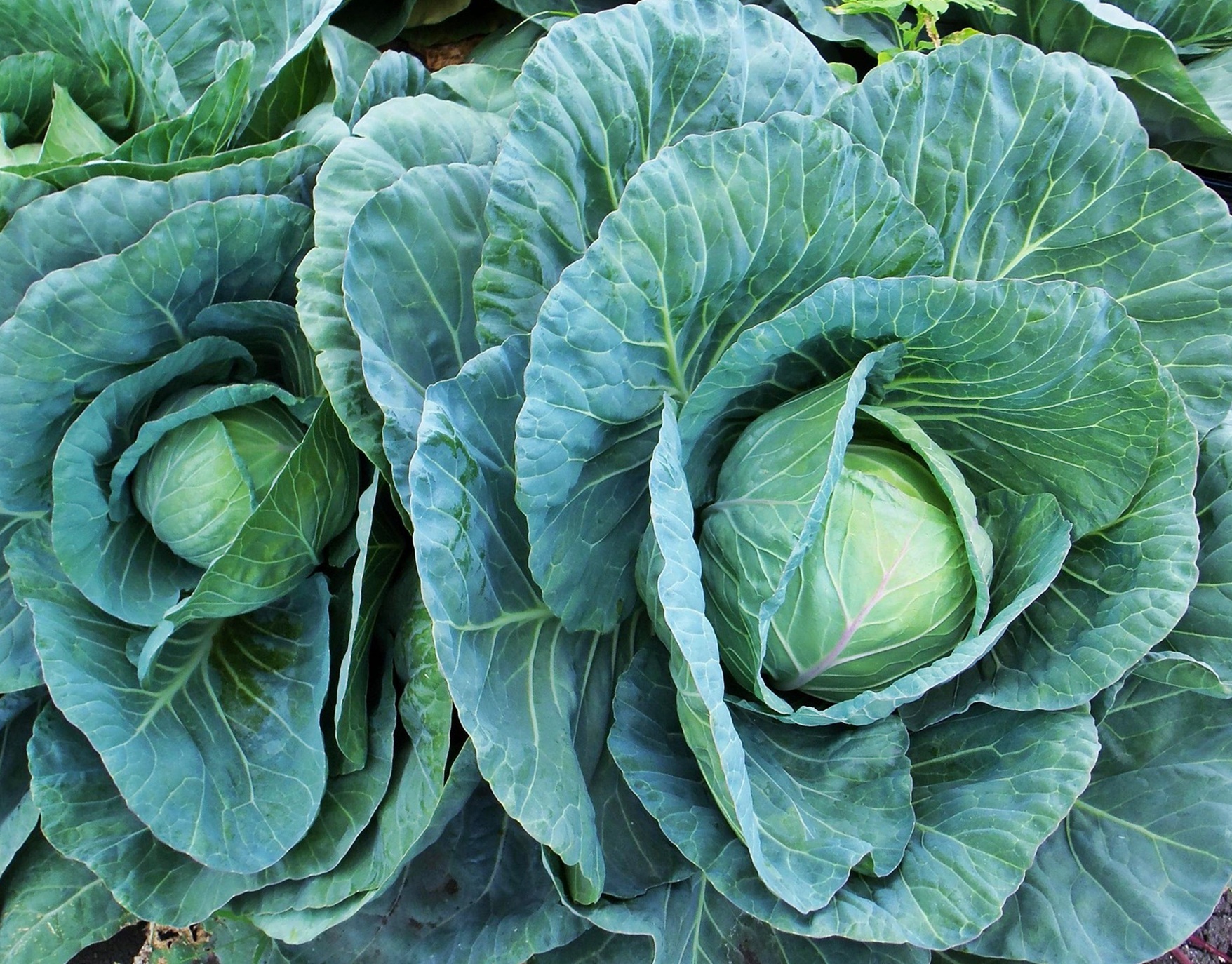  간이 보내는 경고 신호 7가지!