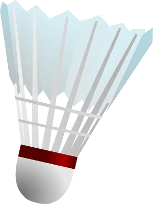 안세영 인도네시아 오픈 결승 결과