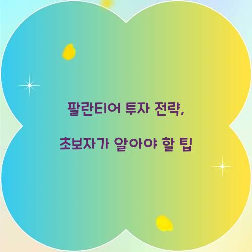팔란티어 투자