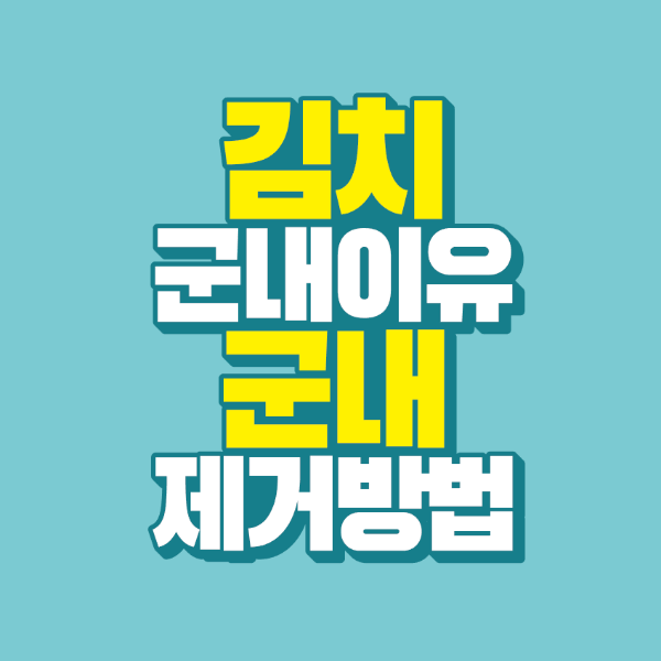 썸네일-김치-군내-이유-제거-방법