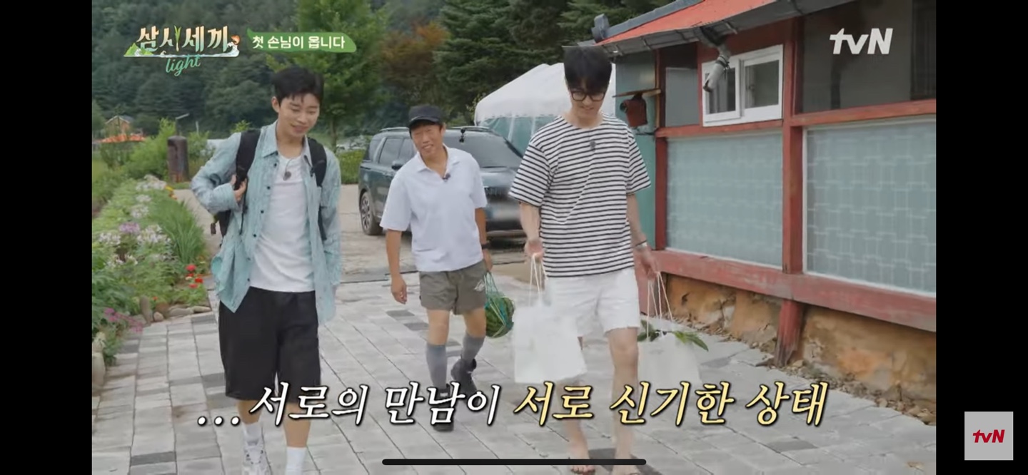 임영웅 삼시세끼 light