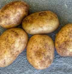 위염에 좋은 음식 영양제 식단