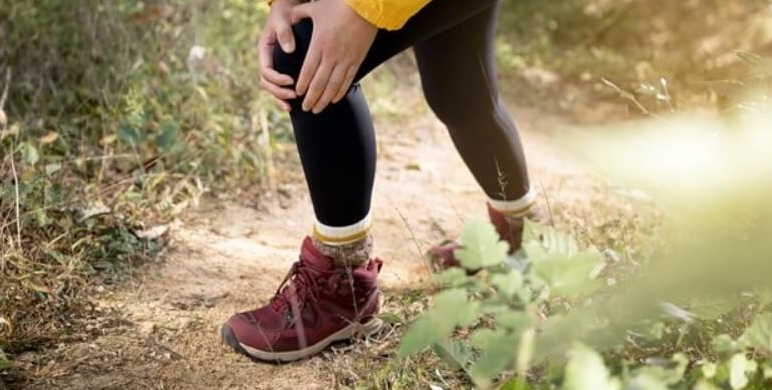 뱀에-물렸을때-응급처치